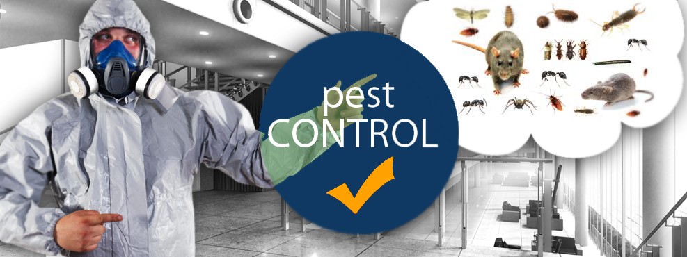 Pest-cоntrol (HACCP)